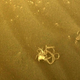 Perseverance captured this image using its front left camera while trekking through the Martian terrain.